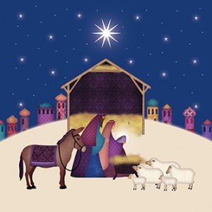 Stars above the stable