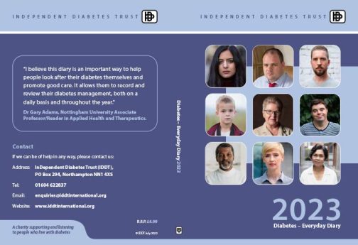 IDDT Everyday Diary 2023