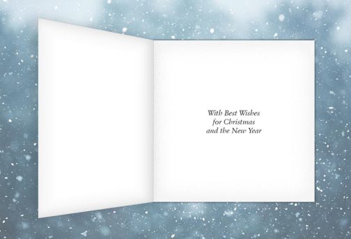 With Best Wishes for Christmas and the New Year.